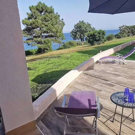 Pieds Dans L'eau - La Crique Aux Tortues *