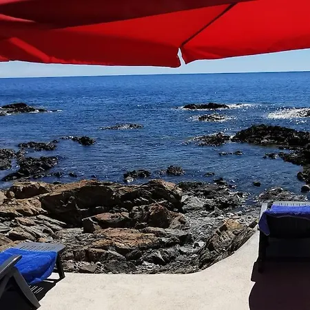 Pieds Dans L'eau - La Crique Aux Tortues *