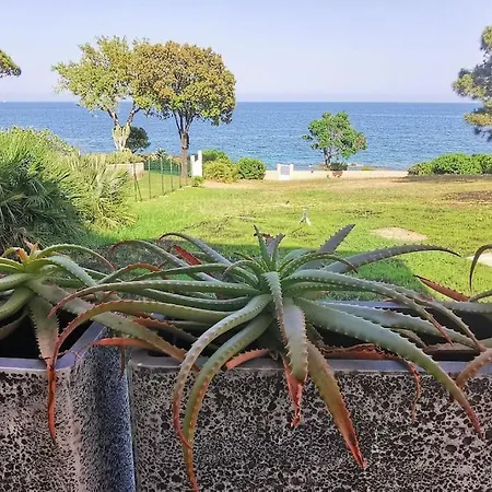 Pieds Dans L'eau - La Crique Aux Tortues וילה *