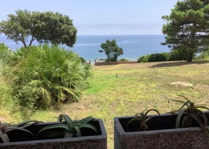 Vila Pieds Dans L'eau - La Crique Aux Tortues *