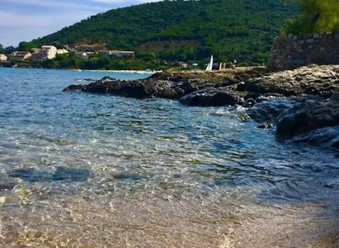 Pieds Dans L'eau - La Crique Aux Tortues Vila *