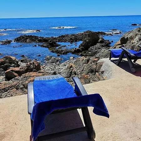 Pieds Dans L'eau - La Crique Aux Tortues