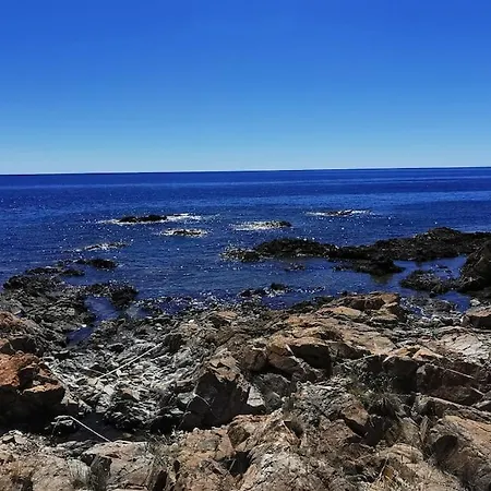 Pieds Dans L'eau - La Crique Aux Tortues *