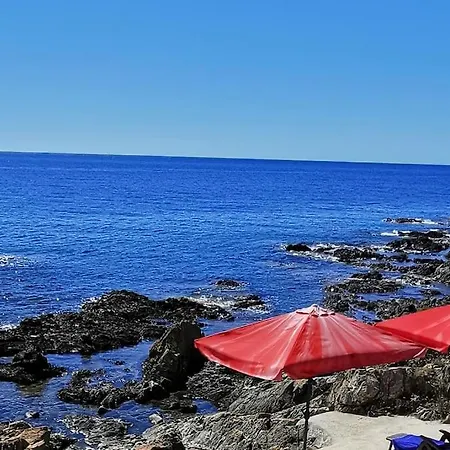 Pieds Dans L'eau - La Crique Aux Tortues *