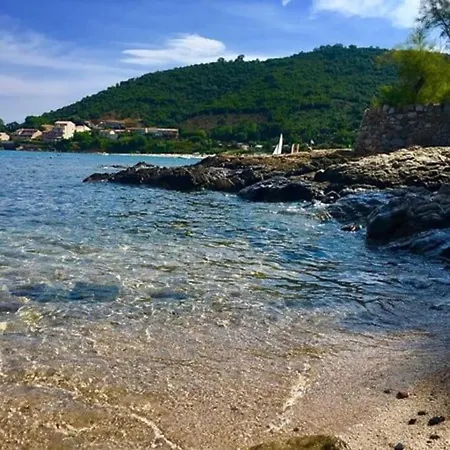 Pieds Dans L'eau - La Crique Aux Tortues Villa *
