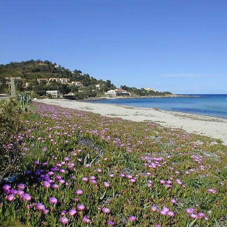 Pieds Dans L'eau - La Crique Aux Tortues Villa