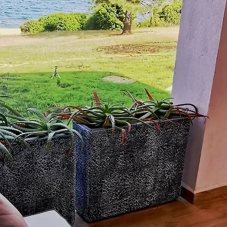 Pieds Dans L'eau - La Crique Aux Tortues Villa Zonza