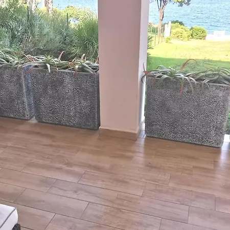 Pieds Dans L'eau - La Crique Aux Tortues