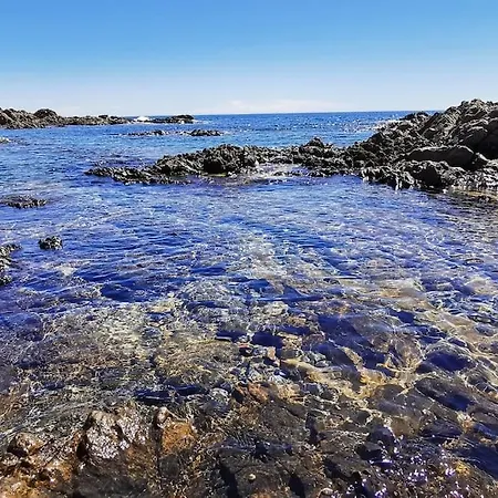 Pieds Dans L'eau - La Crique Aux Tortues Villa