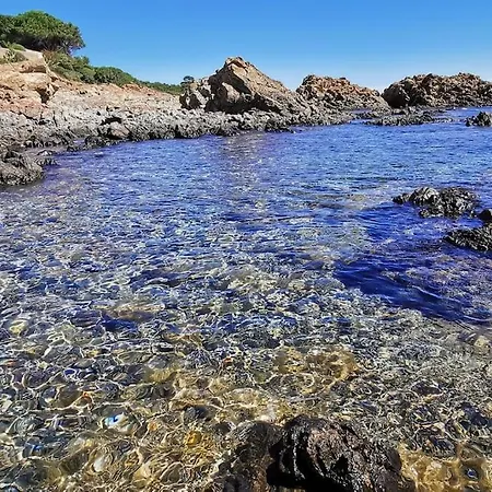 Villa Pieds Dans L'eau - La Crique Aux Tortues
