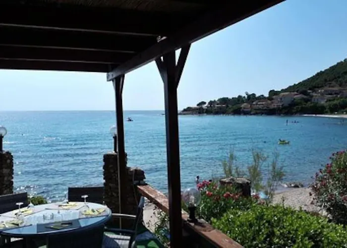 Pieds Dans L'eau - La Crique Aux Tortues *