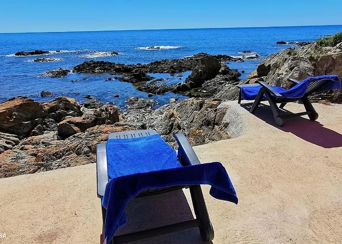 Pieds Dans L'eau - La Crique Aux Tortues