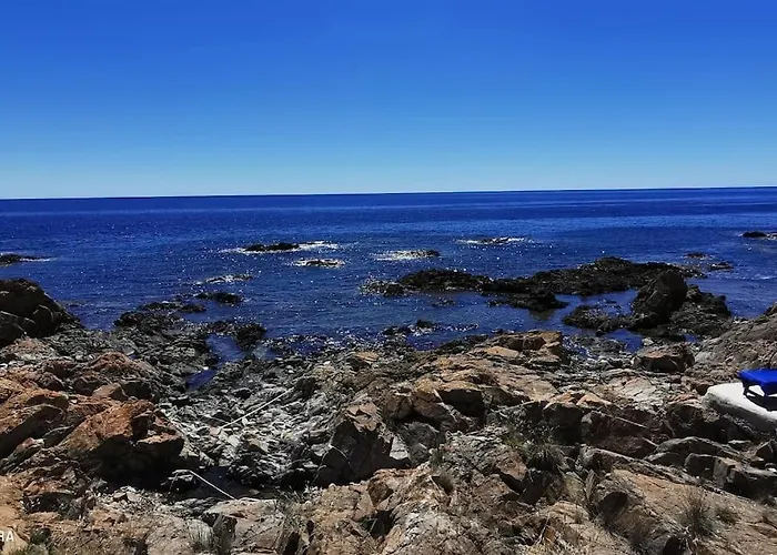 Pieds Dans L'eau - La Crique Aux Tortues *