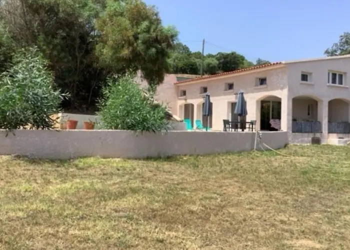 Pieds Dans L'eau - La Crique Aux Tortues * Zonza