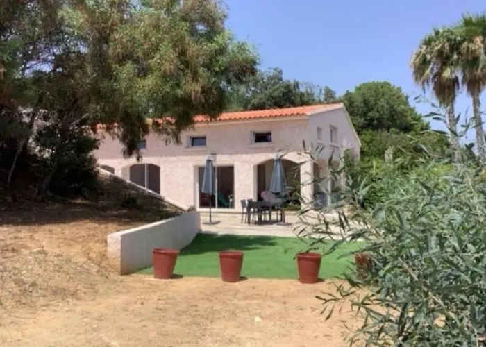 Pieds Dans L'eau - La Crique Aux Tortues Zonza