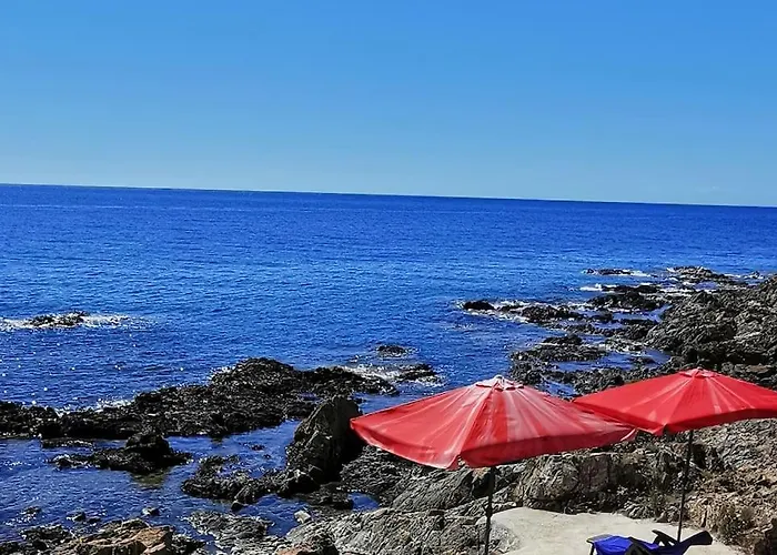 Pieds Dans L'eau - La Crique Aux Tortues *