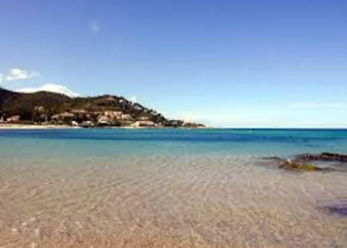 Pieds Dans L'eau - La Crique Aux Tortues * Zonza