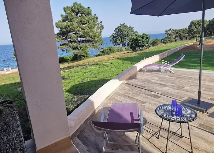 Pieds Dans L'eau - La Crique Aux Tortues *