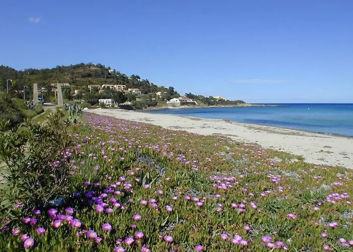 Pieds Dans L'eau - La Crique Aux Tortues Villa