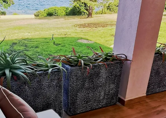 Pieds Dans L'eau - La Crique Aux Tortues Villa Zonza