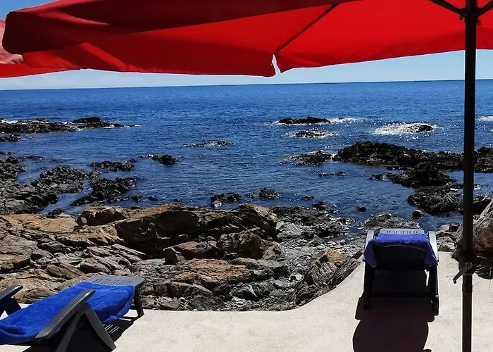 Pieds Dans L'eau - La Crique Aux Tortues *