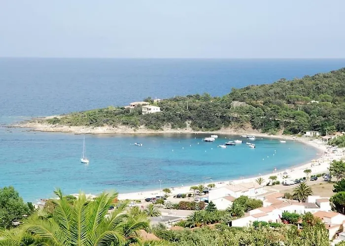 Pieds Dans L'eau - La Crique Aux Tortues * Zonza