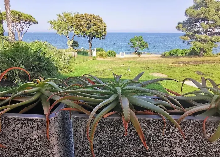 Pieds Dans L'eau - La Crique Aux Tortues Villa *