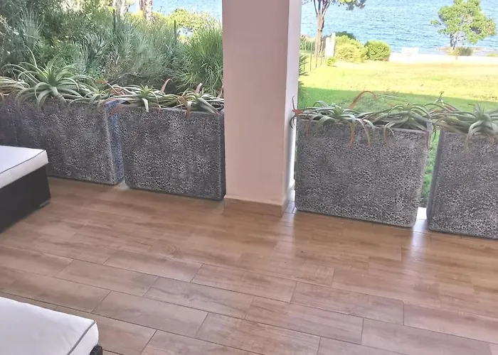 Pieds Dans L'eau - La Crique Aux Tortues